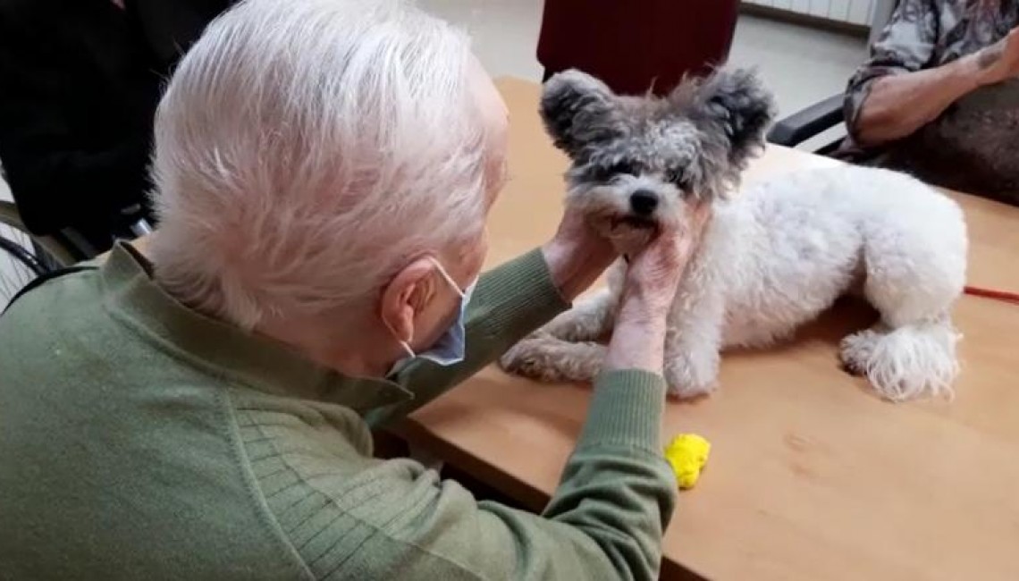 Terapia con perros